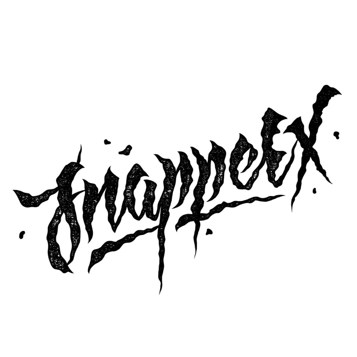 SnapperX Calligraphy - Logo